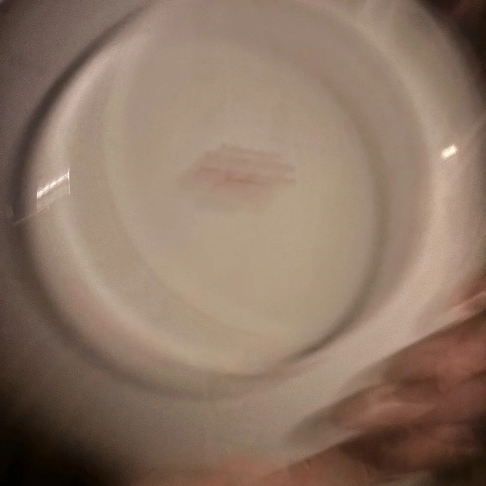 Twas the night before Christmas Williams Sonoma Santa sleigh app plate (4)